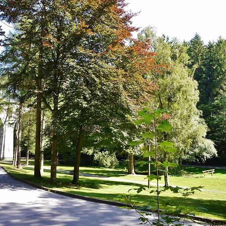 Appartement Happynest*** Mit Hallenbad Willingen  Eksteriør bilde