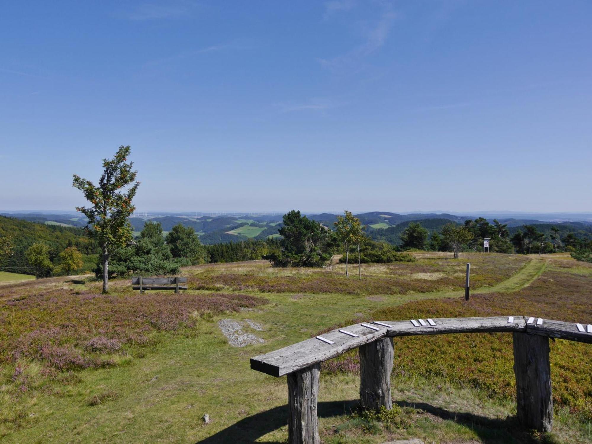 Appartement Happynest*** Mit Hallenbad Willingen  Eksteriør bilde