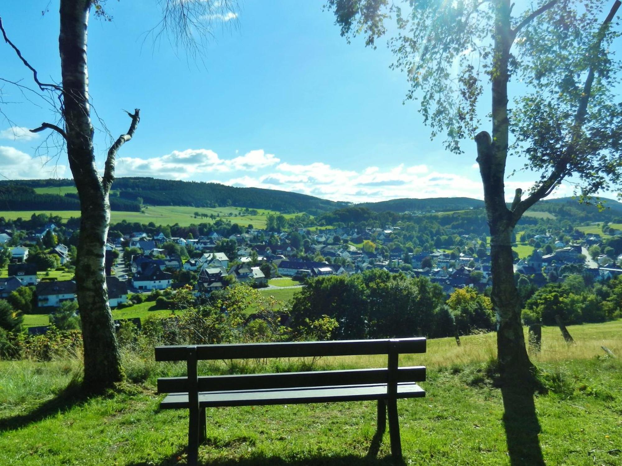 Appartement Happynest*** Mit Hallenbad Willingen  Eksteriør bilde