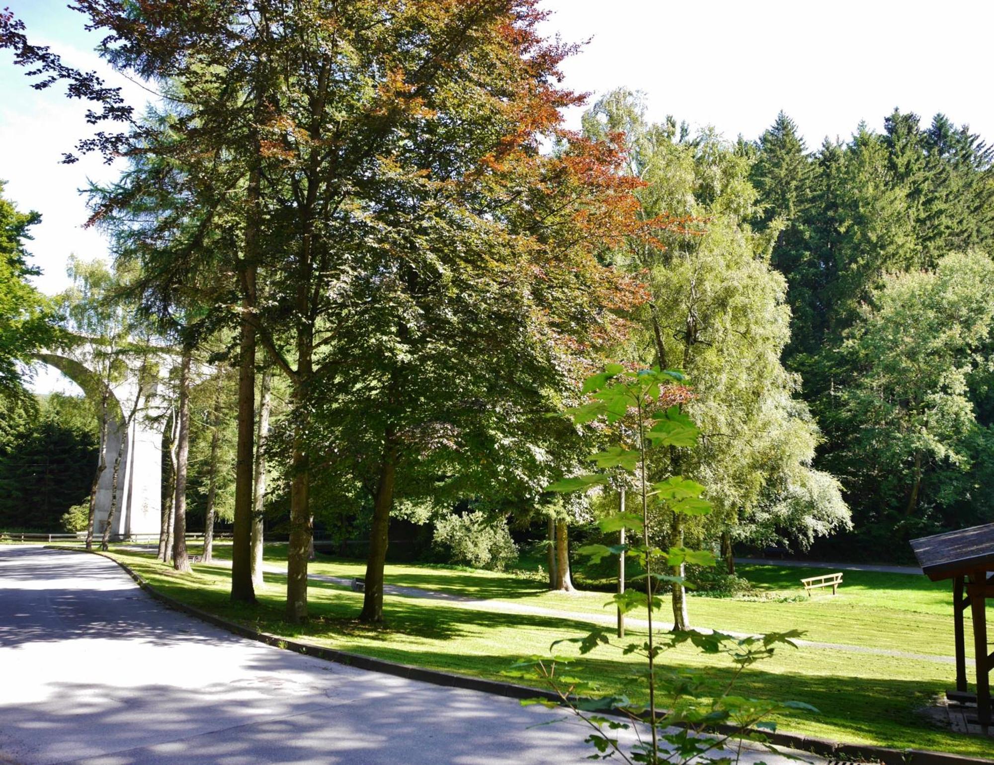 Appartement Happynest*** Mit Hallenbad Willingen  Eksteriør bilde